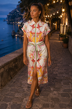 Samarie Dress